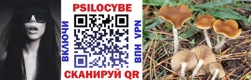 Галлюциногенные грибы Psilocybine cubensis  магазин продажи наркотиков  Великие Луки 